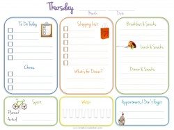 shopping list and food journal