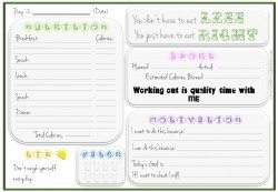 diet journal