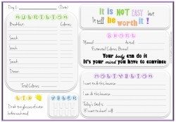 diet and fitness journal