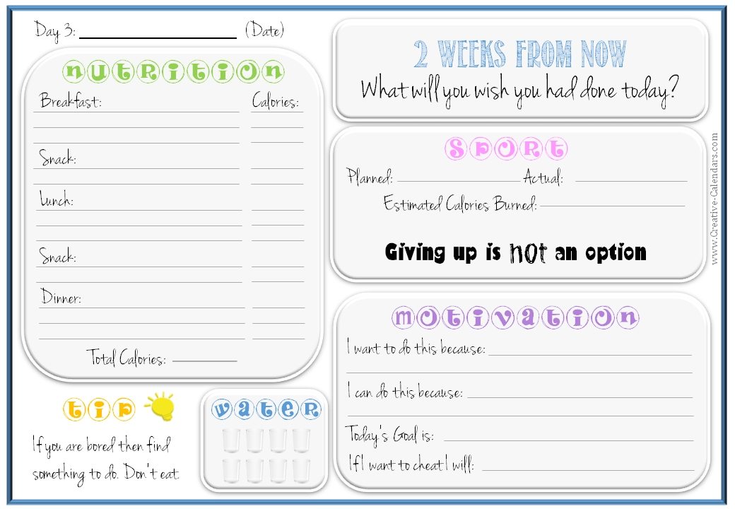 exercise and diet journal