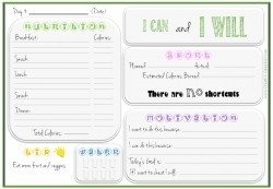 food log