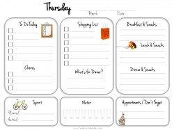 daily to do list